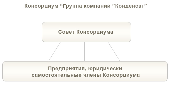 Структура Консорциума 